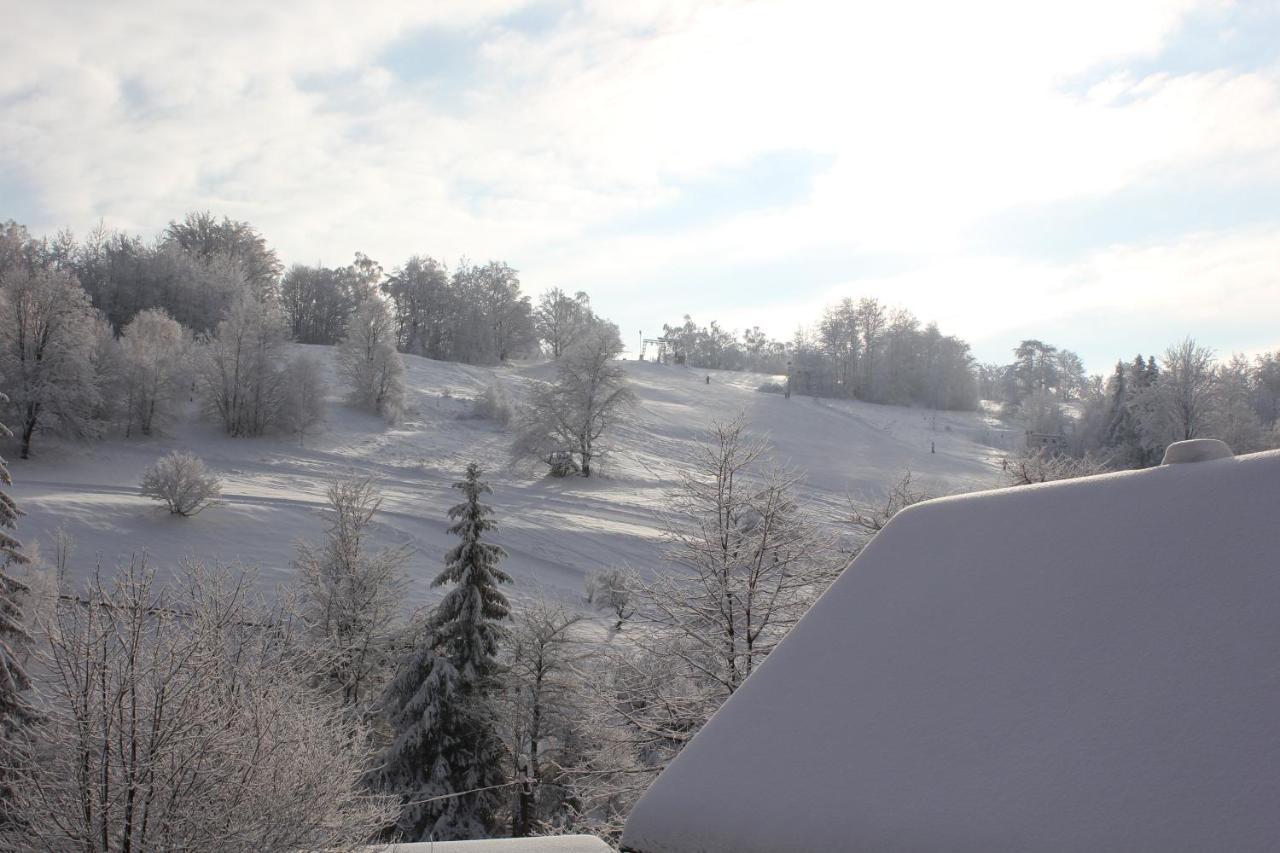 Cudne Manowce Bed & Breakfast วีสวา ภายนอก รูปภาพ